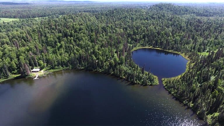 Remote fly-out cabin retreats featuring lake paddling, hiking and river fishing in Alaska's wilderness.