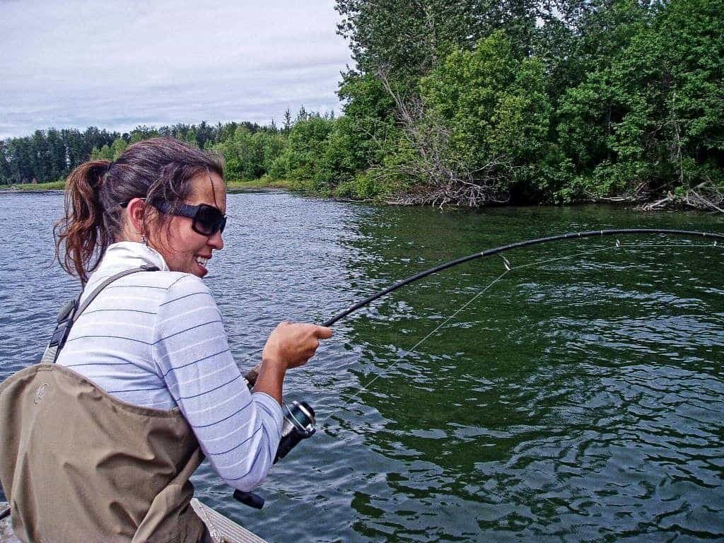 Success catching a big salmon with spin fishing equipment on remote Lake Creek Alaska.