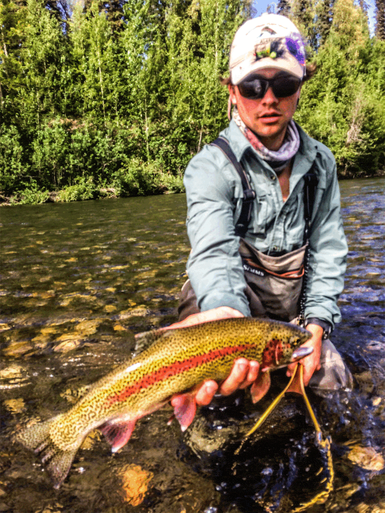 Beautiful native rainbow trout caught on an Alaskan remote freestone river.