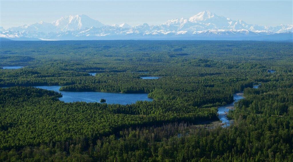 Alaska Susitna Valley River Lodge for Fishing and Adventure, Wilderness Place Lodge.