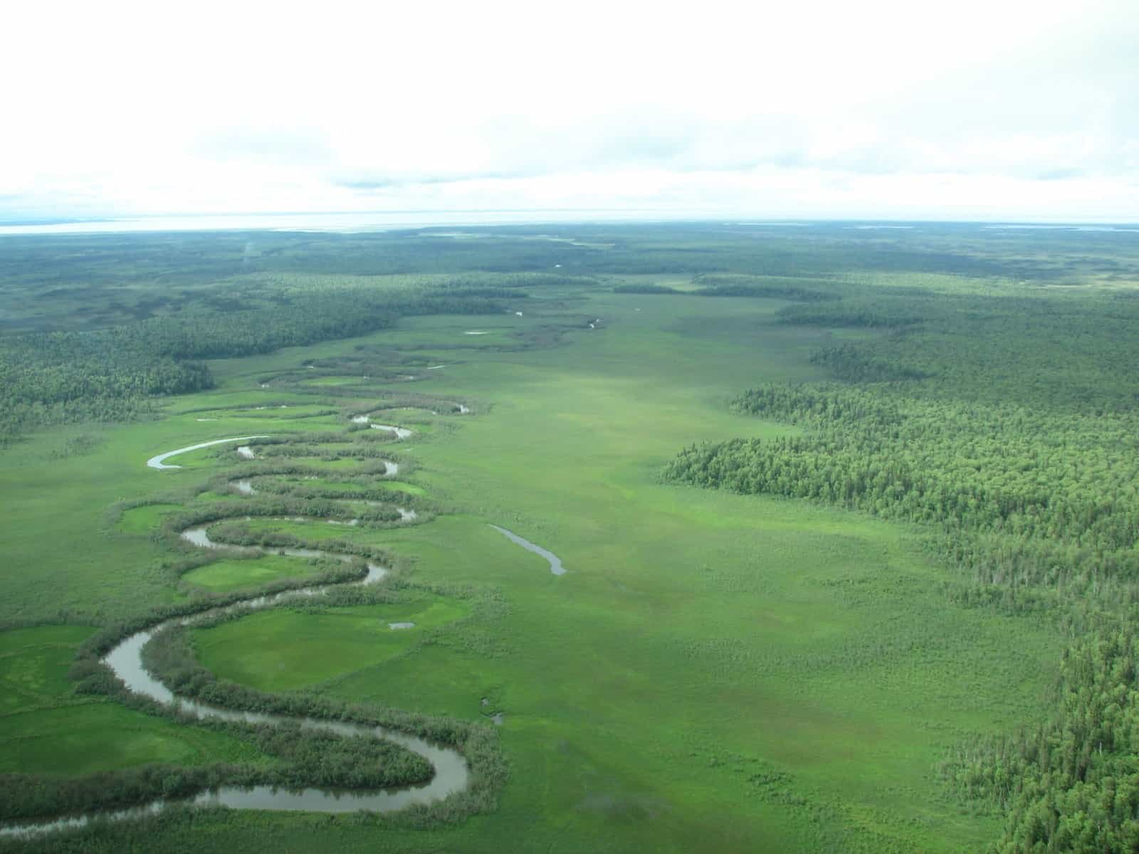 A wild salmon river winds through the Susitna Valley